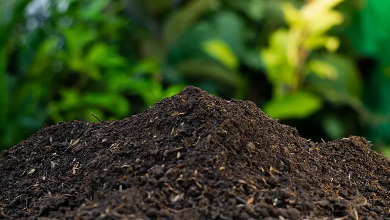 US Composting Council government director to step down